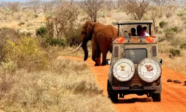 Tsavo East National Park 20 Kenya