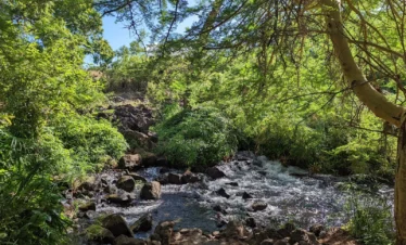 Tsavo West National Park 08 Kenya