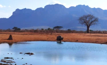 Tsavo West National Park 09 Kenya