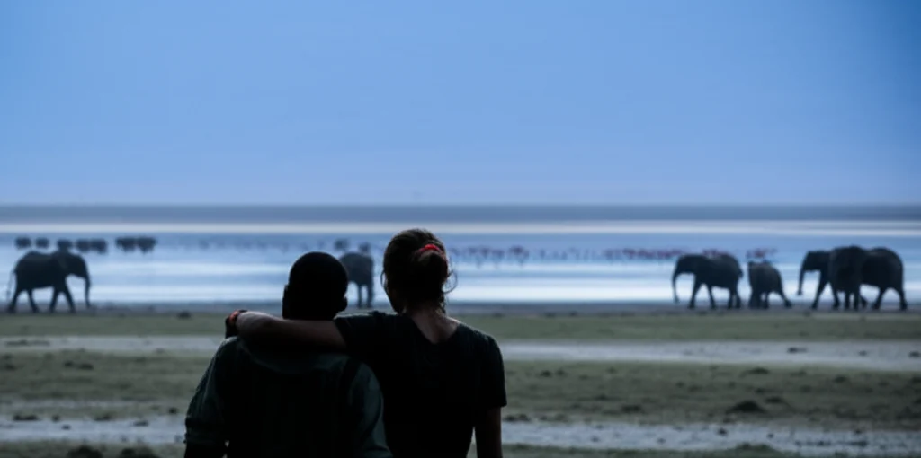 Your Ultimate Kenya Safari Honeymoon Guide: Romantic Lodges, Perfect Timing & Unforgettable Moments 2 couple silhouette watching elephants Amboseli Kilimanjaro backdrop sunset orange sky Kenya kenya safari honeymoon guide romantic lodges