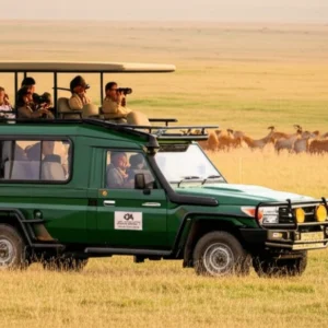 reticulated giraffe drinking at Ewaso Nyiro River Samburu Kenya golden hour samburu national reserve safari guide