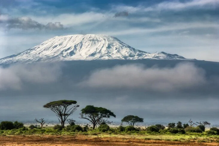 Kilimanjaro above acacia trees