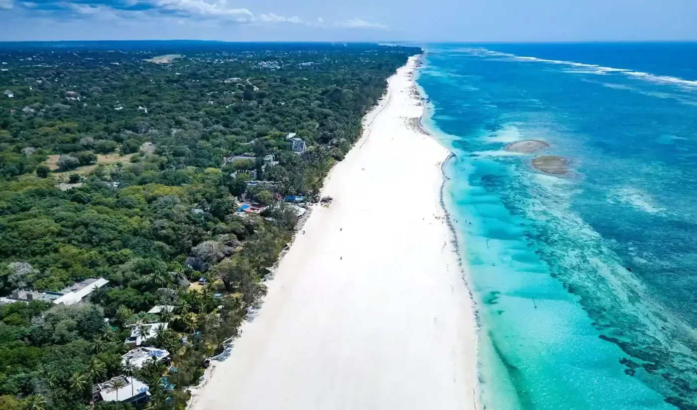 Palm-lined beach and the Indian Ocean at Diani