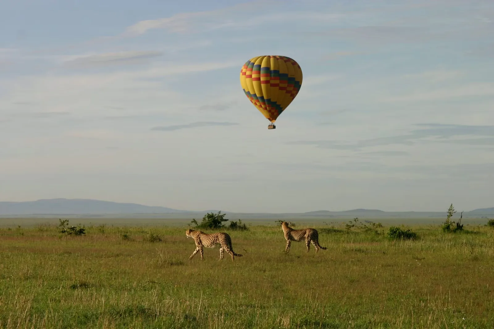Maasai Mara National Reserve & Private Safaris 12 A hot air balloon above a savannah with grazing wildlife