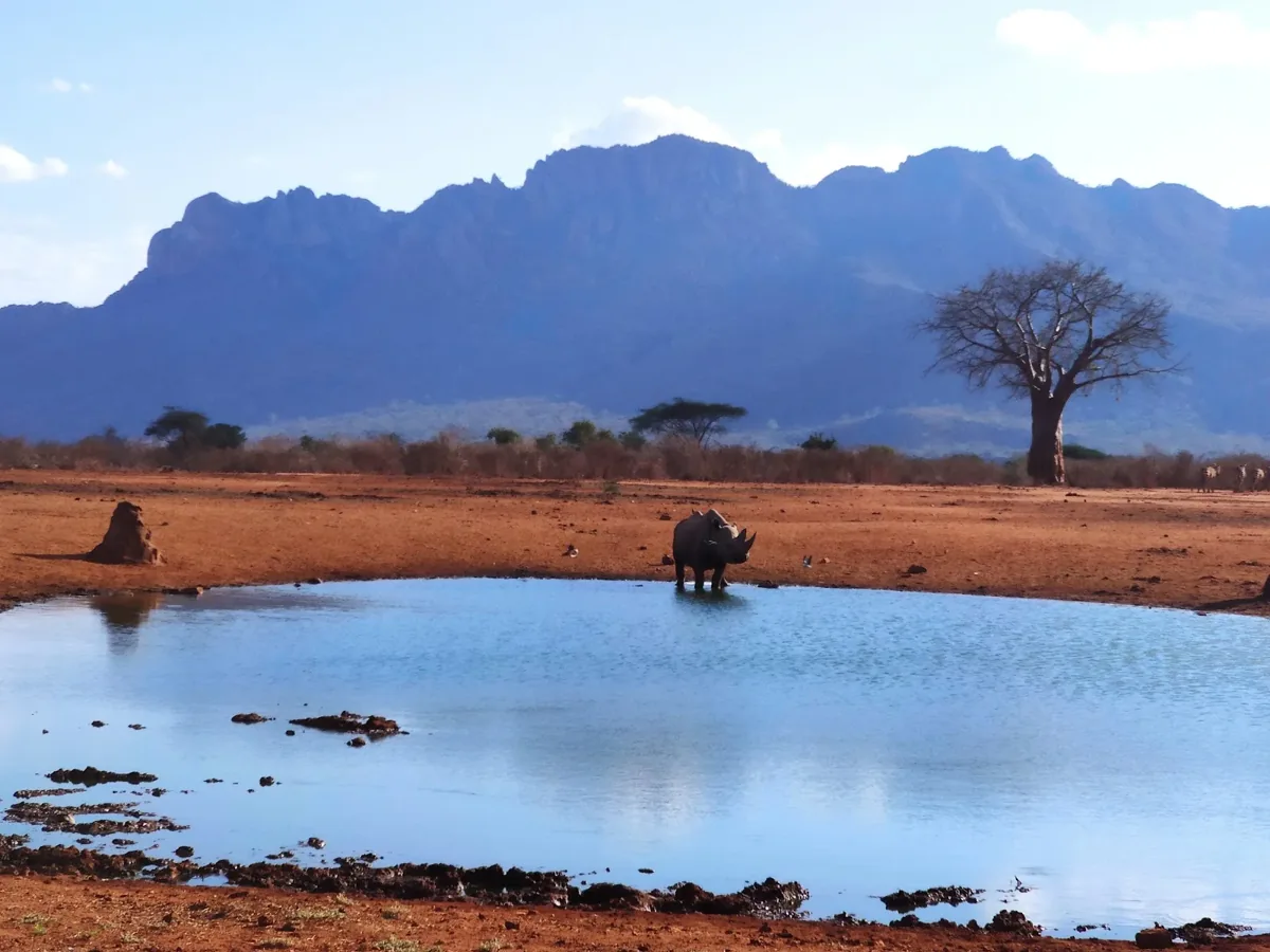 Kenya Safari Destinations 23 Elephants beside a waterhole beneath a mountain ridge
